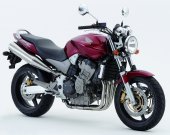 2006 Honda Hornet 900 photo